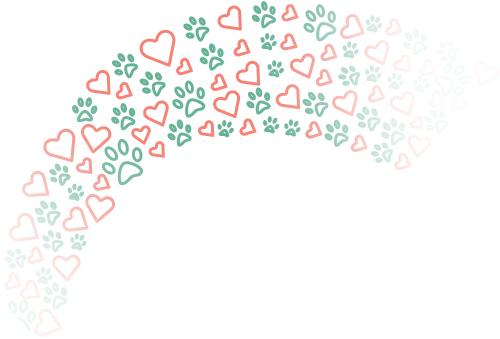 rainbow icon