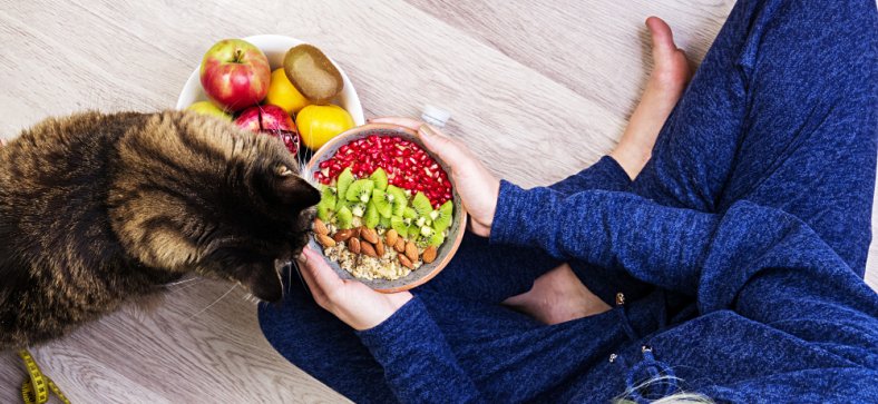 Cat Nutrition Guide 2025