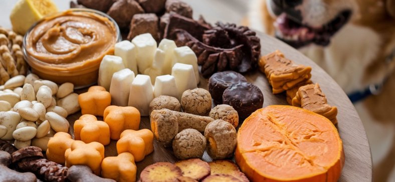 Dog Treats for Dogs with Sensitive Stomachs
