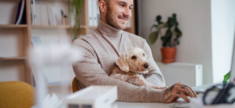 Dogs in the Workplace: Benefits of 