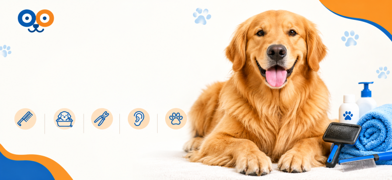 Golden_Retriever_Grooming_Guide.png
