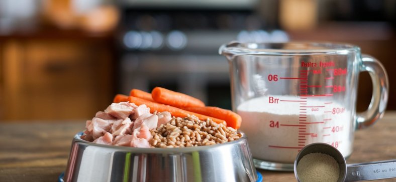 Homemade Dog Food Recipes for Balanced Nutrition 