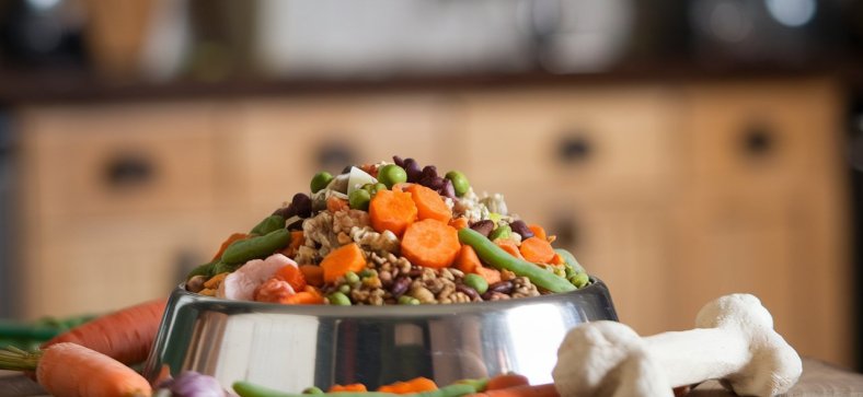 Plant-Based Dog Food