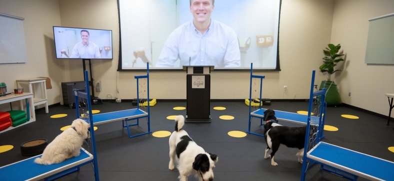 Virtual Dog Training
