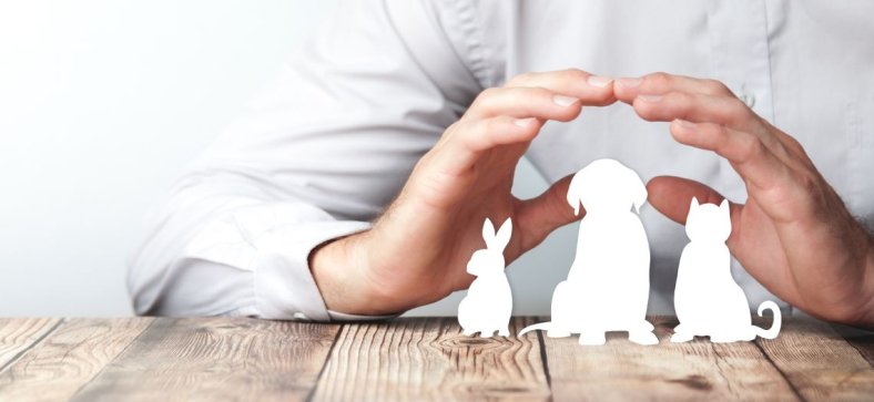 Does Nationwide Pet Insurance Cover Behavior Training?