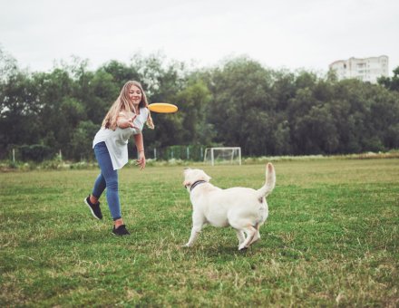 What Is the Best Way to Teach a Puppy to Leave It?