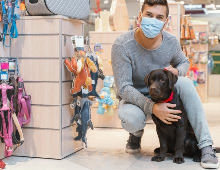  Pet Stores in the U.S. for Rare & Organic Pet Food