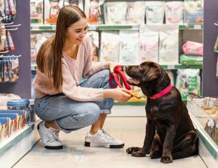 5 Pet Store Hacks That Can Cut Your Monthly Dog Food Bill in Half