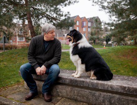 Surprising Benefits of Adopting a Senior Dog in 2025