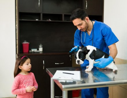 Low-Cost Vet Clinics