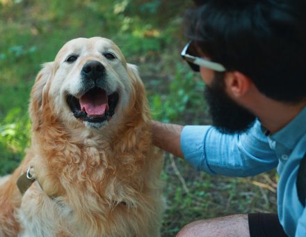 How Long Do Dogs Live