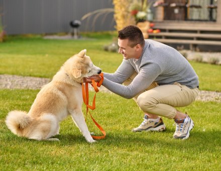 How Much Exercise Does Your Dog Really Need