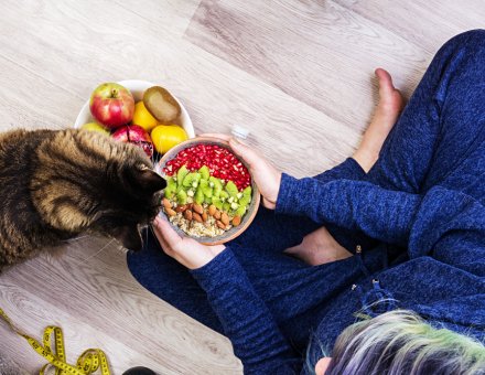 Cat Nutrition Guide 2025