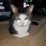 !@106.jpg