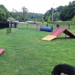 145365266_bentonvillebarkpark_t800.jpg