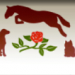 2022-02-21_17-34-19.png