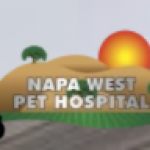 2022-02-25_19-12-54.png