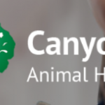 2022-02-28_20-00-48.png