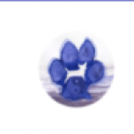 2022-03-07_22-00-21.png
