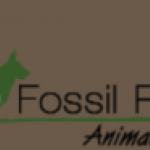 2022-04-11_17-28-43.png