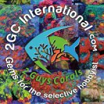 2GC_International.jpg