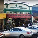 6th_Avenue_Aquarium.jpg