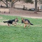 75362bhytygsd.jpg
