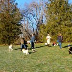ASA29.jpg