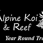 Alpine_Koi_and_Reef.png
