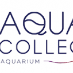Aquatic_Collection.png