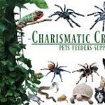 Charismatic_Creatures.jpg