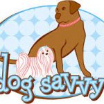 Dog_Savvy_1.jpg
