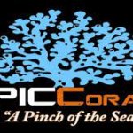 EPIC_CORAL_1.jpg