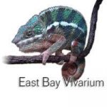 East_Bay_Vivarium.jpg