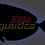 Ellis_Aquatics.jpg