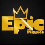 Epic_Puppies.jpg