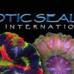 Exotic_Sealife_International_Inc.jpg