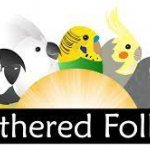Feathered_Follies.jpg