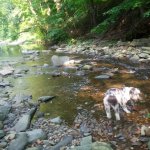 IMG_20120823_163237.jpg