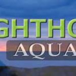 LightHouse_Aquatics.jpg