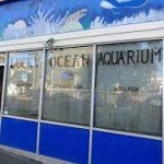Lucky_Ocean_Aquarium.jpg