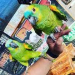 Marquez_Pets.jpg