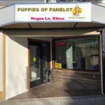 Puppies_of_Pamelot.jpg