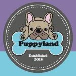 Puppyland_Marietta.jpg