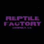 Reptile_Factory_2.jpg