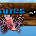 ScreenHunter_1457.png