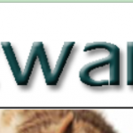 ScreenHunter_2586.png