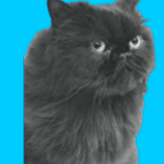 ScreenHunter_2676.png