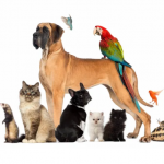 ScreenHunter_2784.png