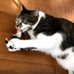 ScreenHunter_3632.png